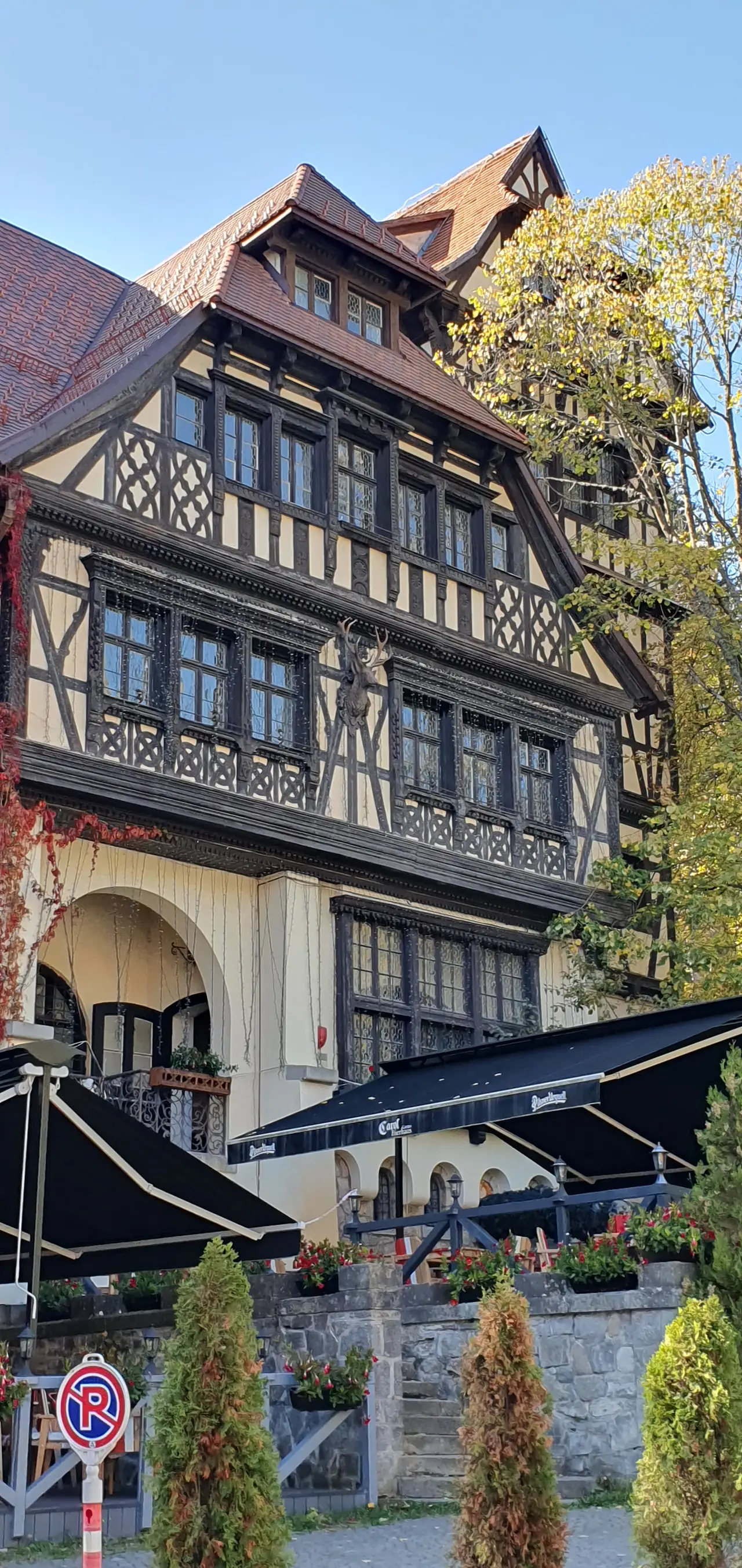 Castelul Pelișor pe domeniul regal din Sinaia