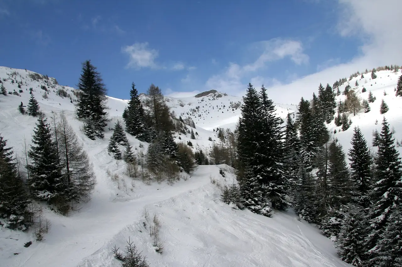 Panoramă de pe domeniul schiabil Sinaia, spre crestele Bucegilor