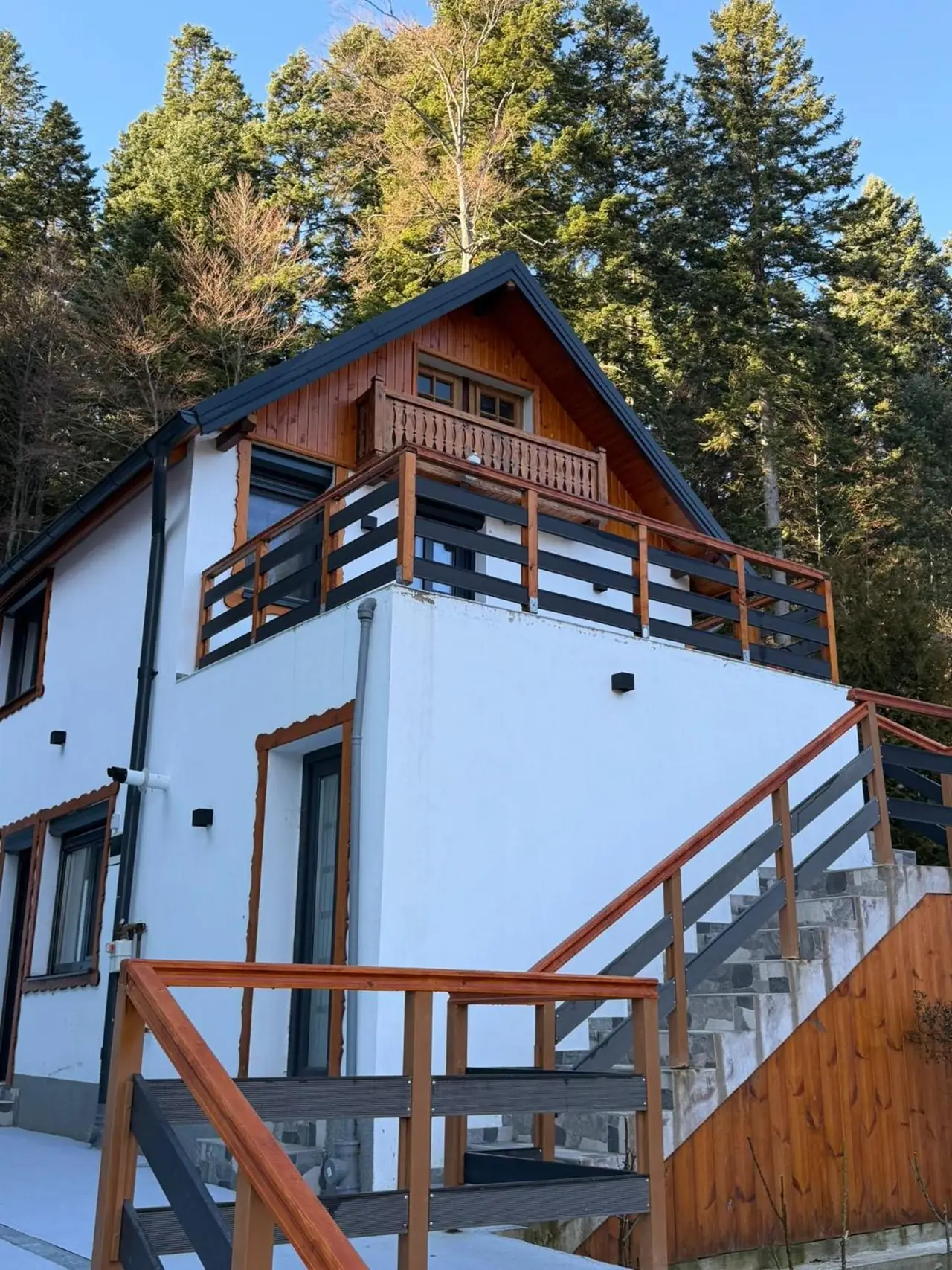 Casa Criss Sinaia — foto 2