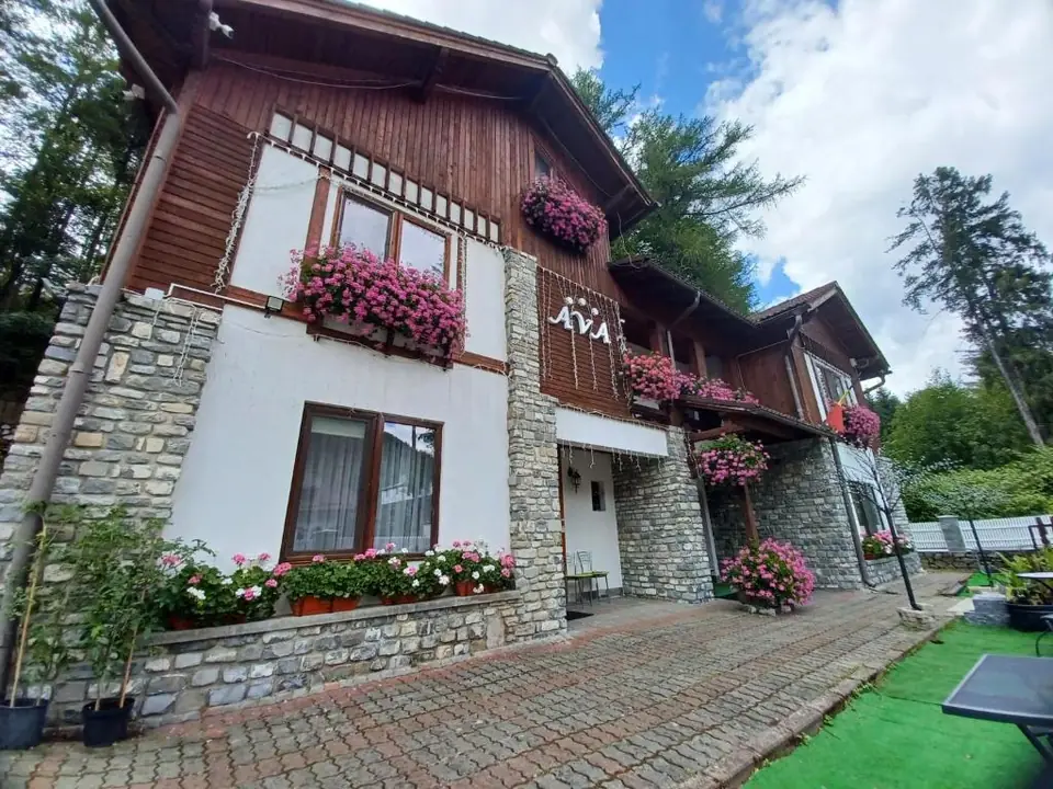 Pensiunea AVA Sinaia — foto 2