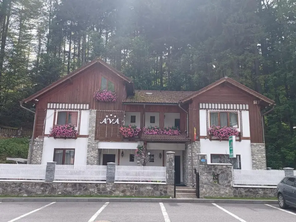 Pensiunea AVA Sinaia — foto 5
