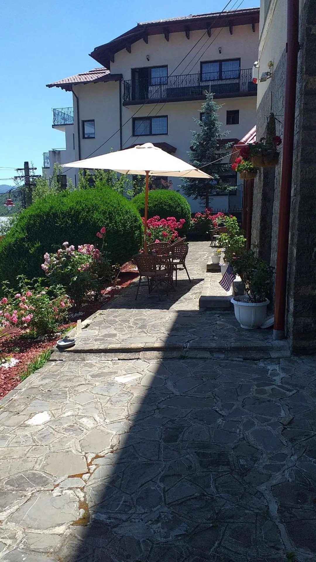 Vila Gabriel Sinaia — foto 3
